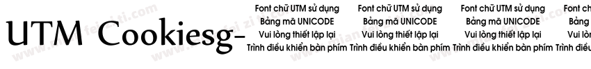 UTM Cookiesg字体转换